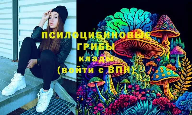 Псилоцибиновые грибы Magic Shrooms  Нестеровская 